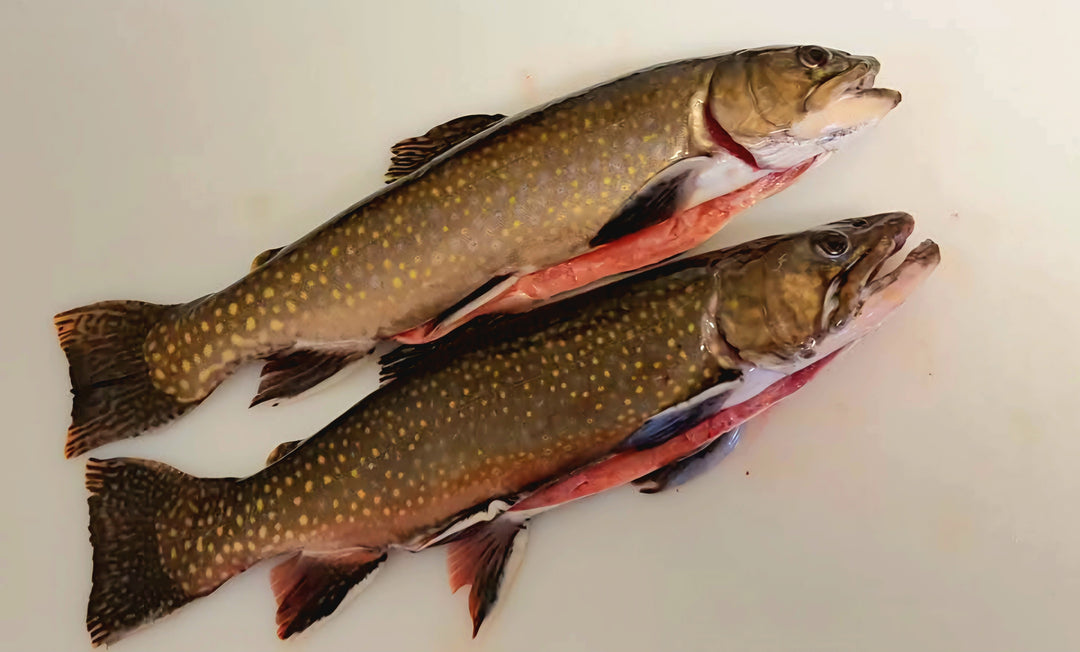 Pack N°2 - DÉCOUVERTE DES SOURCES (99€)