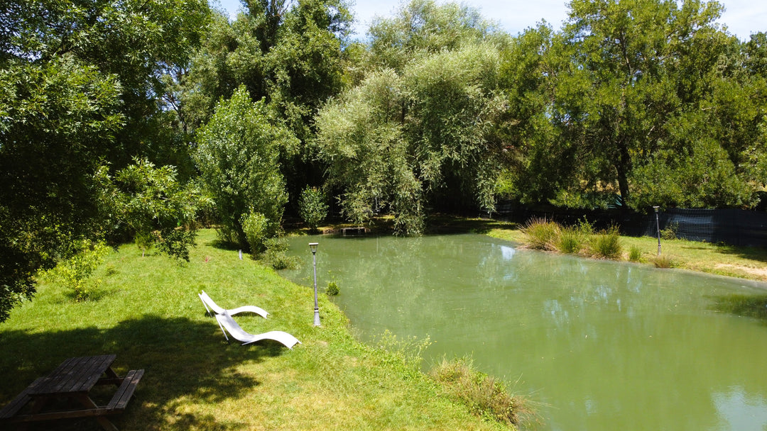 🎁 Bon Cadeau : Stage Découverte "Le P'tit Pêcheur"